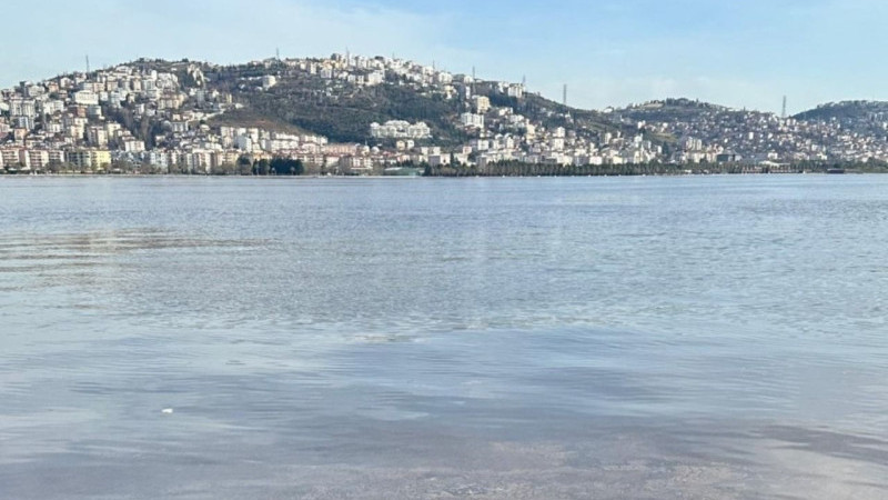 İzmit Körfezi’ndeki kırmızılık müsilajdan mı kaynaklanıyor?