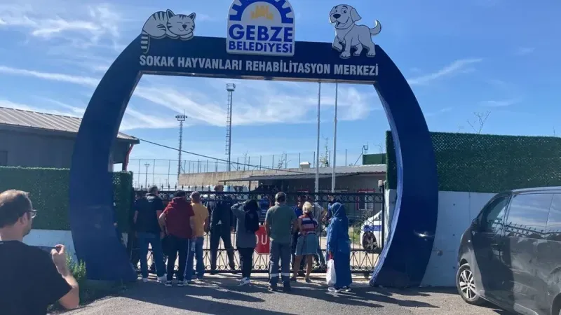 Gebze Barınağında Hayvan Katliamı!