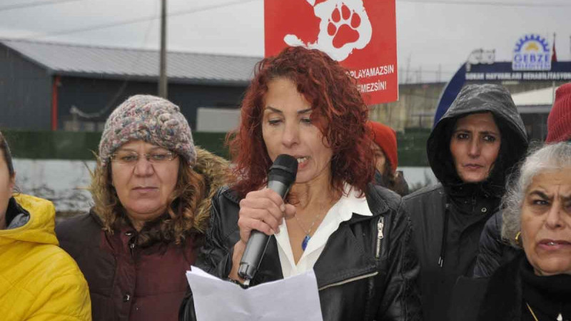 Gebze’de Hayvanseverler Katliamın Peşini Bırakmıyor